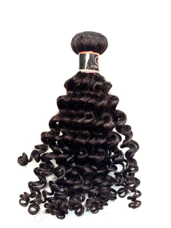Brazilian Burmese - Image 2